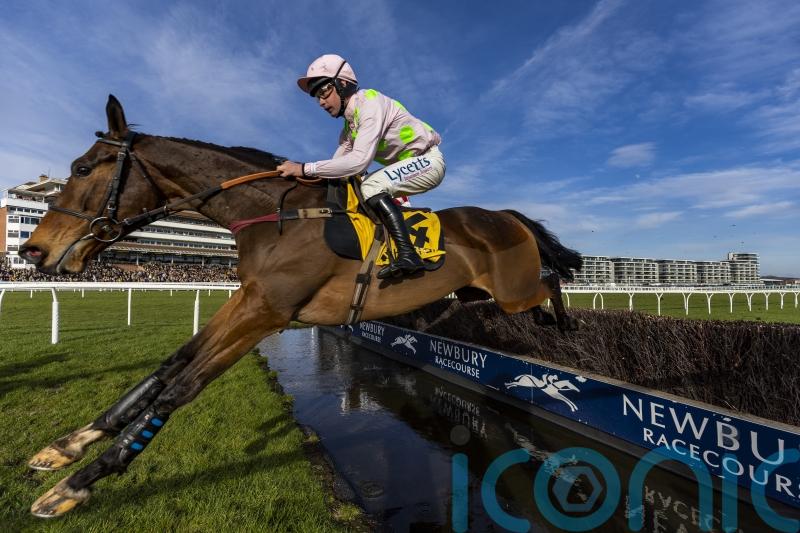 Ricci rules Royale Pagaille out of Betfair Chase