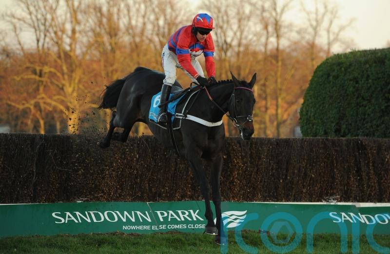 Sprinter Sacre set for starring role on Tingle Creek day