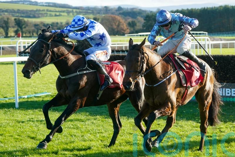 Darrens Hope springs Florida Pearl surprise