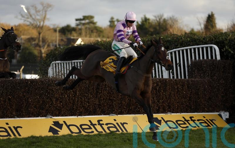 Nicholls sweet on Greaneteen&rsquo;s Tingle Creek chance
