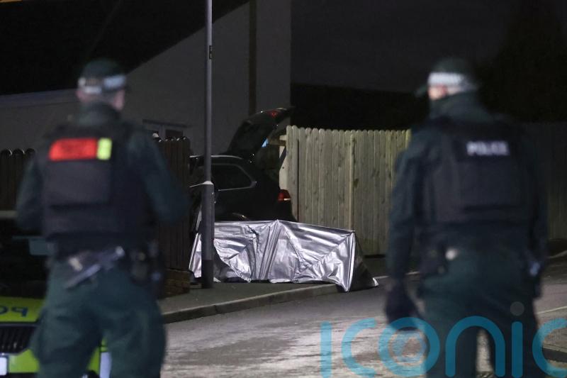 Politicians condemn 'very brutal' car shooting in Northern Ireland