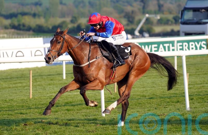 Facile Vega in cruise control on jumping bow at Fairyhouse