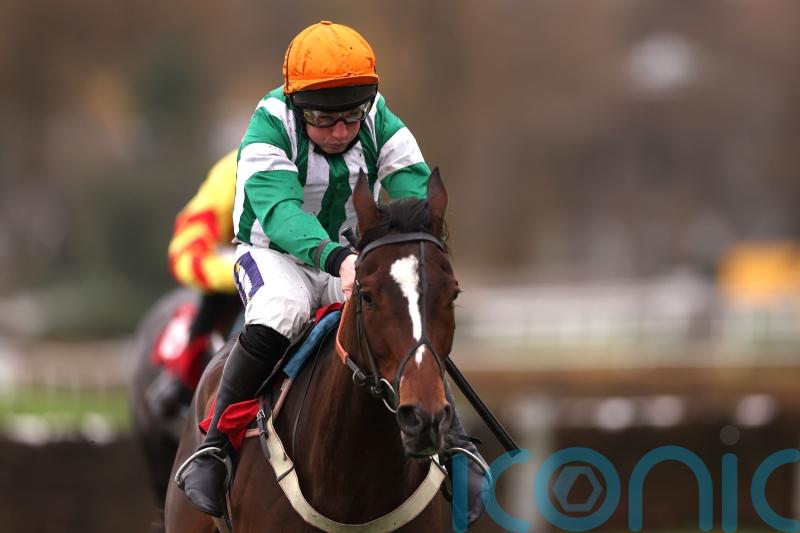 Authorised Speed overcomes last-flight scare to shine at Sandown