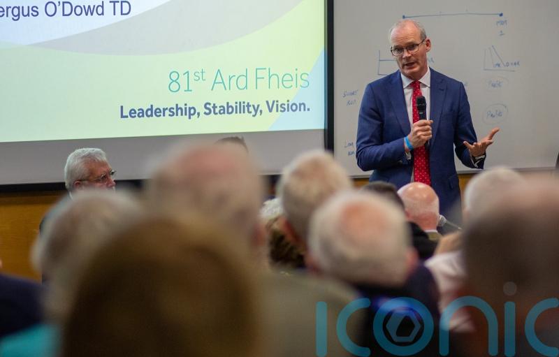 Russian invasion of Ukraine and veto undermines Security Council: Irish minister