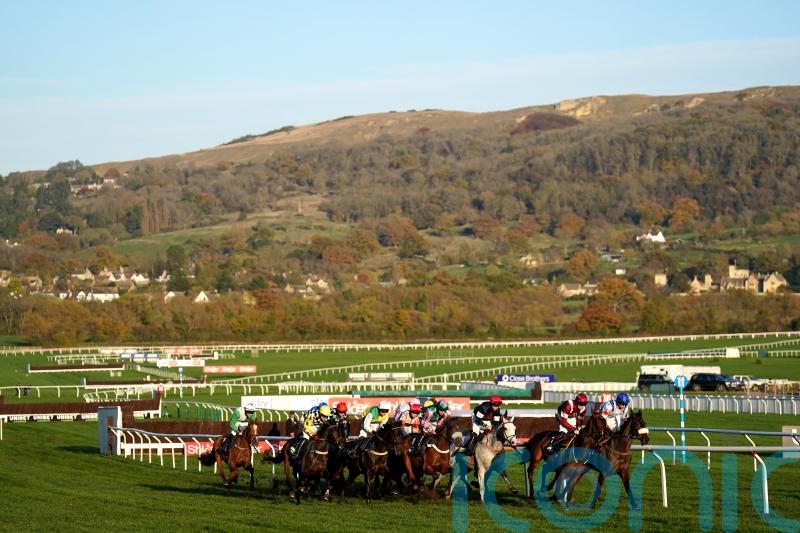 Cheltenham card subject to second inspection
