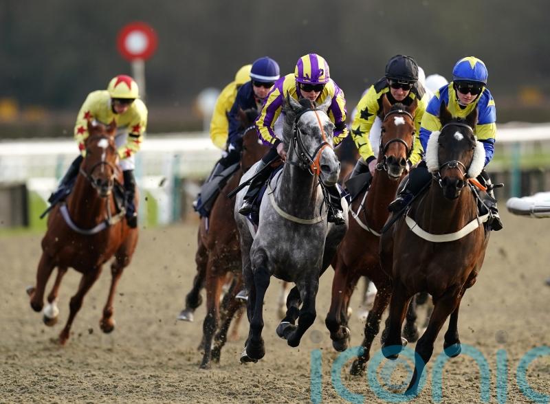 Lingfield falls to the freeze after second inspection
