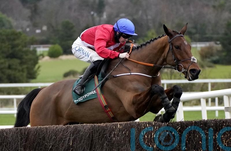 De Bromhead has high hopes King George will suit Envoi Allen