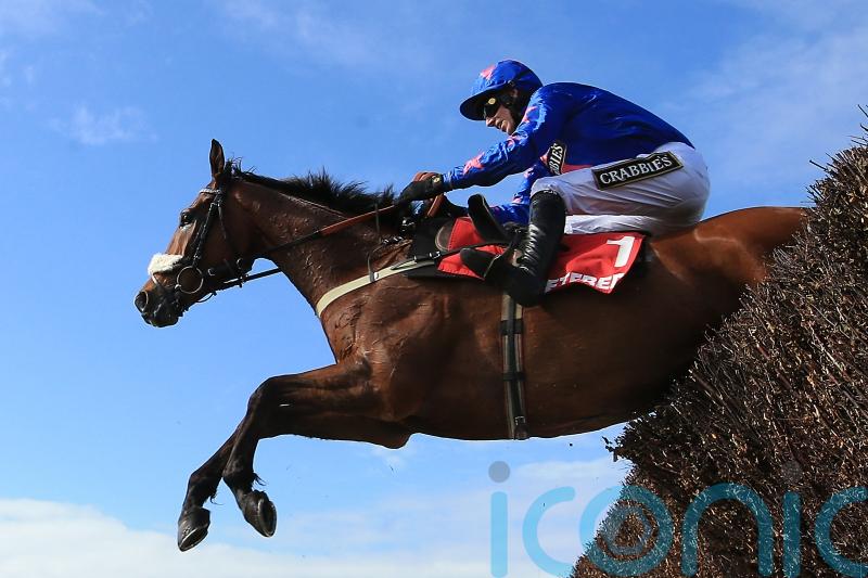 Magical Cue Card was one of jumping&rsquo;s brightest stars