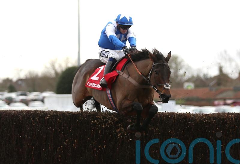 Boothill to bypass Cheltenham rematch with Jonbon