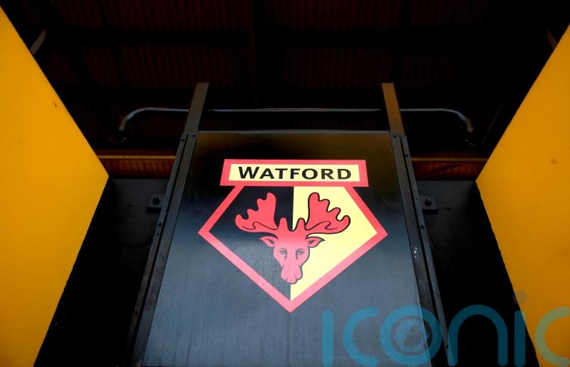 Benfica striker Henrique Araujo joins Watford on loan