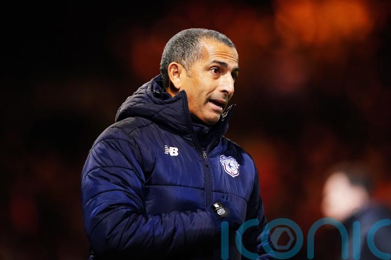 Sabri Lamouchi: Cardiff were undone by the small details in Luton defeat