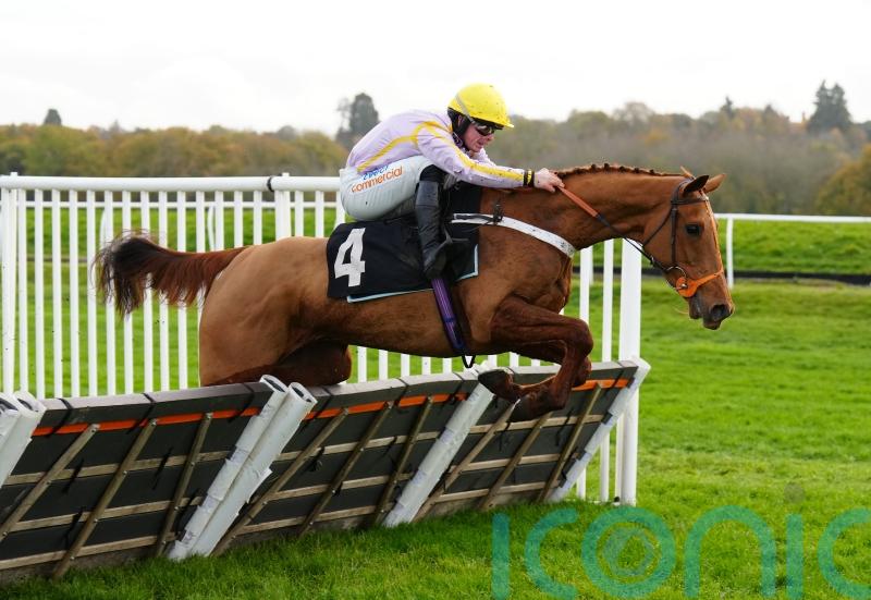 Luccia ready to light up Exeter in pre-Cheltenham prep