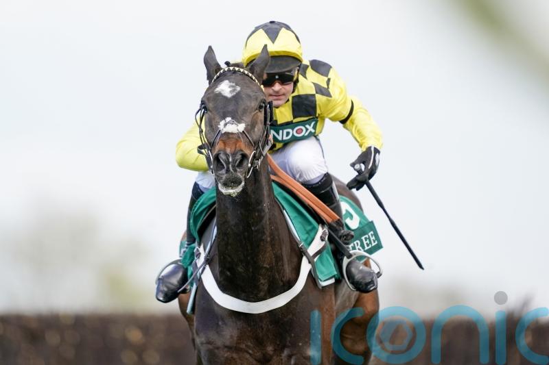 Shishkin ready to step up in Ascot Chase test