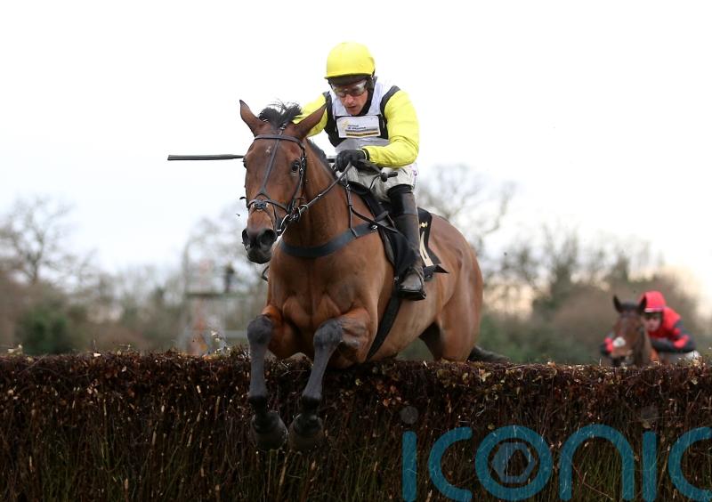 &lsquo;She&rsquo;s a real tank of a mare&rsquo; &ndash; Skelton sweet on Galia Des Liteaux in Brown Advisory