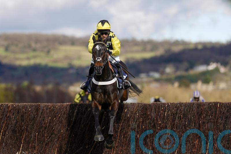 Shishkin spearheads super six for Ascot Chase