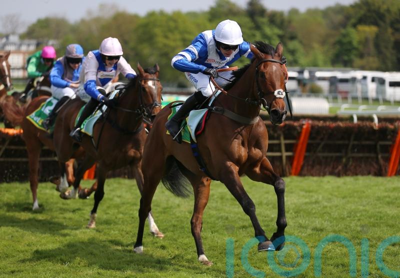 Nicholls anticipating Knappers Hill redemption at Wincanton