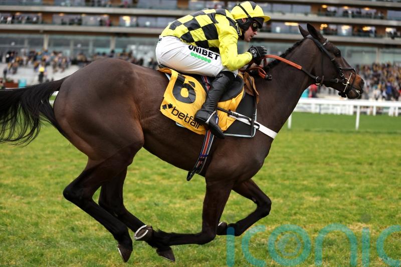 Shishkin &lsquo;100 per cent&rsquo; after Ascot &ndash; with Ryanair Chase still favoured next