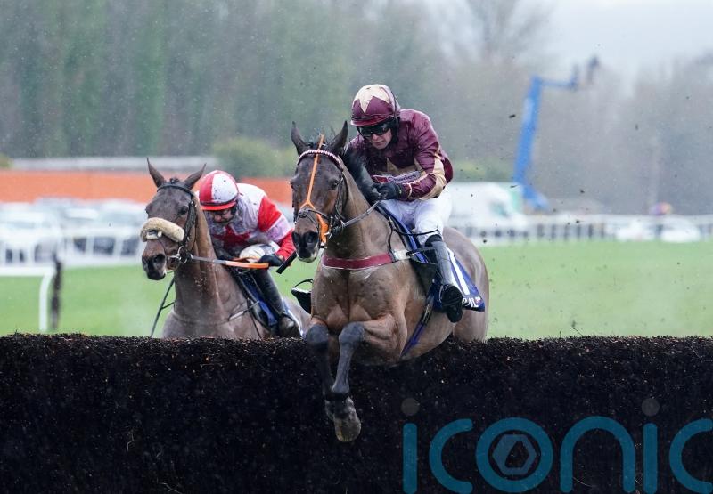 Martin would like rain at Newcastle ahead of Amigos Eider option