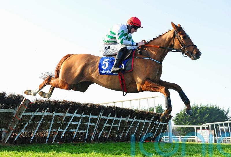 Zanahiyr likely to take on Constitution Hill in Champion Hurdle