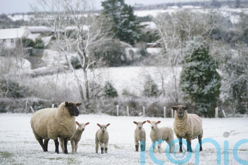 Icy stretches and some snow in parts of Ireland