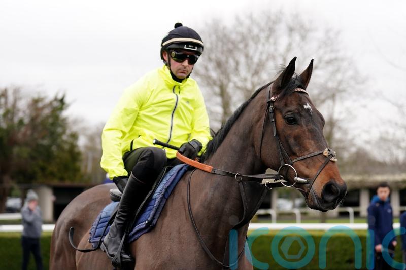 McCoy excited to see Constitution Hill strut his stuff