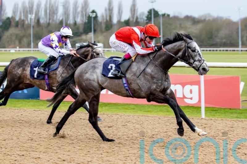 Berkshire Shadow claims Wulfruna win