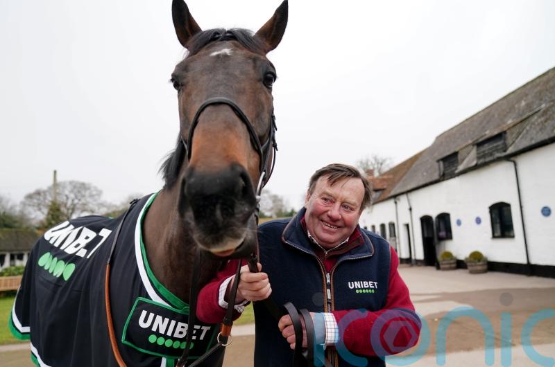 Constitution Hill faces State Man as seven line up in Champion Hurdle