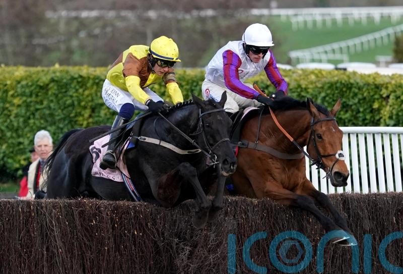 Nicholls &lsquo;mighty proud&rsquo; of Gold Cup second Bravemansgame