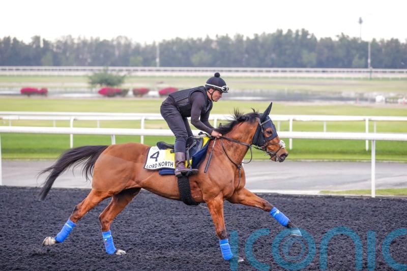 Lord North leading Gosden team on glittering World Cup night card