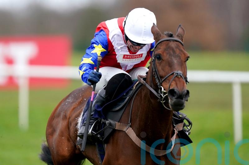 Williams looking to Moviddy to make Grade Two leap at Newbury