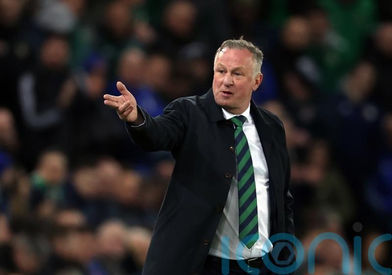 Michael O&rsquo;Neill rues missed chances as Northern Ireland suffer Finland setback