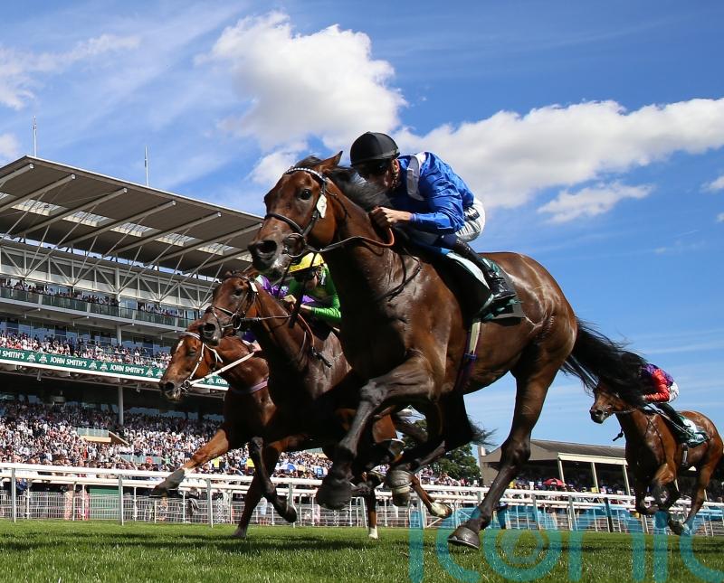 Burrows sights set on Group One gold for Anmaat