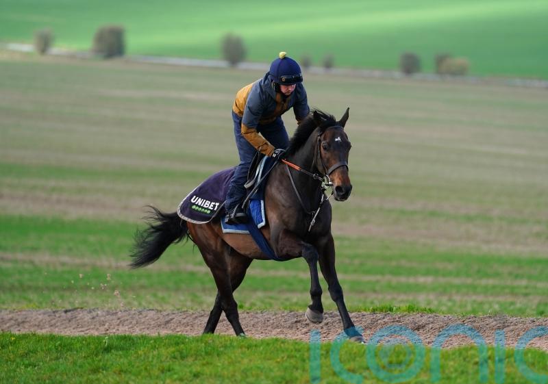 Post-Aintree school to determine Constitution&rsquo;s chasing plans