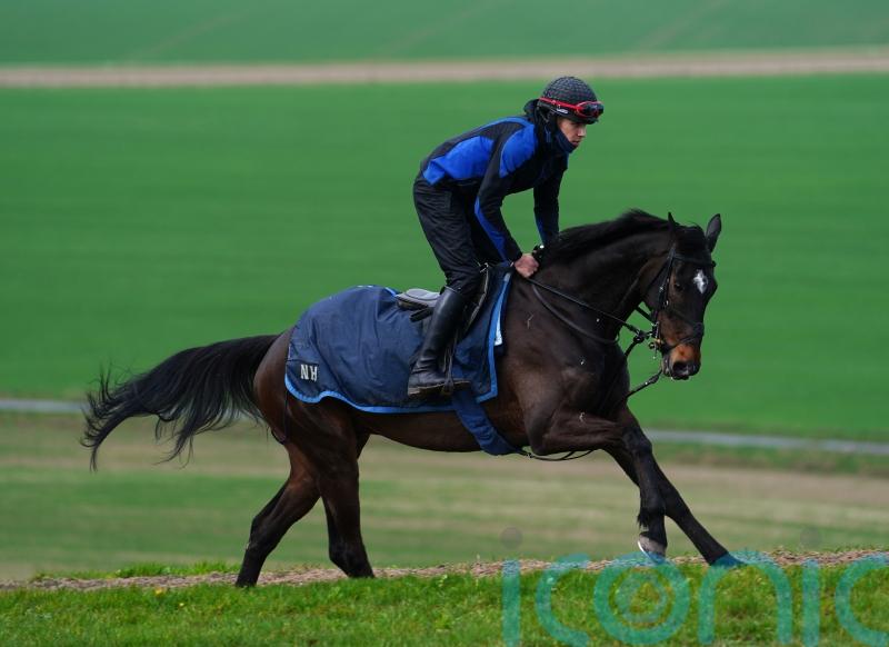 Shishkin ready to step up in Aintree Bowl