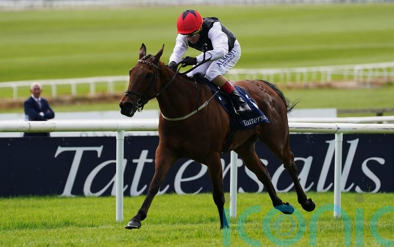 Homeless Songs returns to the fray at Leopardstown