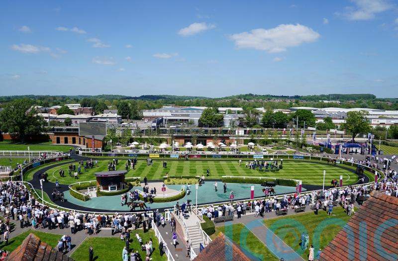 Anamoe adds potential sprinkle of stardust to Lockinge