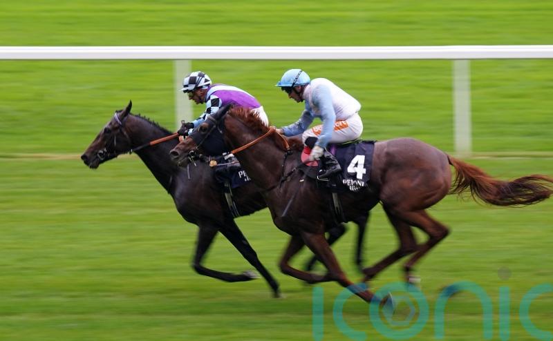 Philippart De Foy has plenty to look forward to with El Habeeb