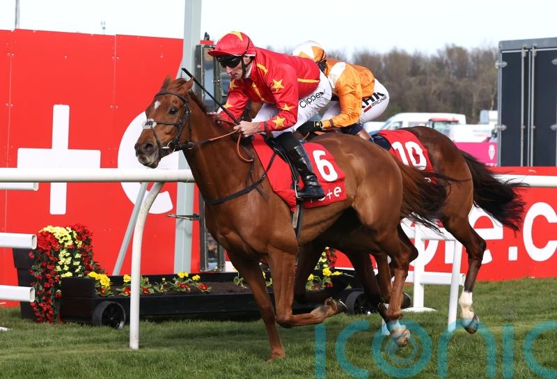 Wise Eagle gives Adam Nicol a Saturday winner to savour