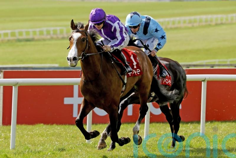 Point well made by returning Lonsdale in Alleged Stakes