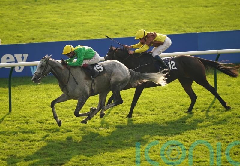 Hugely popular Buzz heads for long and happy retirement