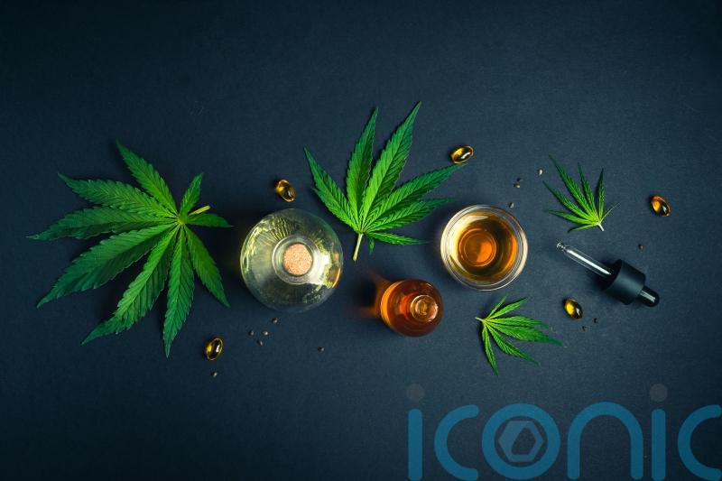 Irish and Canadian researchers publish study suggesting cannabis relieves cancer pain