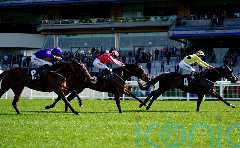 Cold Case swoops late for Commonwealth Trial triumph