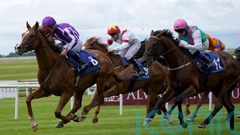 Proud And Regal out to book Derby ticket