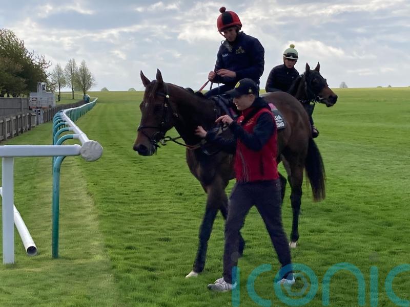 The Astrologist primed for British bow at York