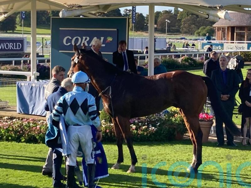 Modesty set for low-key return at Newmarket