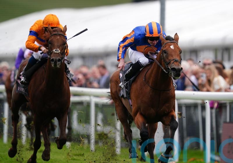 San Antonio holds of Alder in Dee Stakes battle of the O&rsquo;Briens