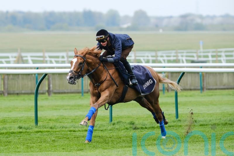 Slipofthepen can write his ticket to Ascot with Sandown victory