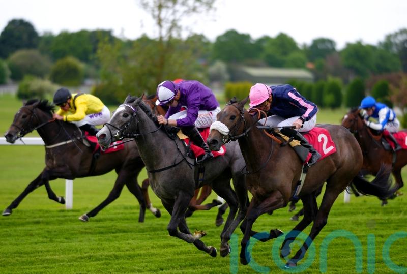 Graceful Thunder shows plenty of dash on Sandown bow