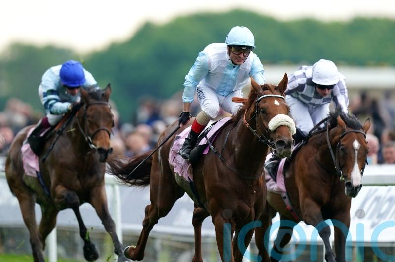 Giavellotto crowned in Yorkshire Cup for Botti and Atzeni