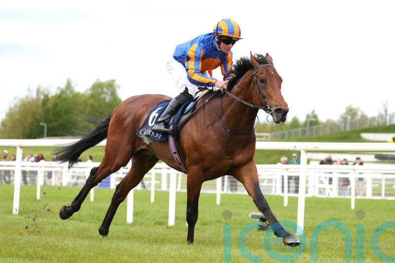 Paddington and Cairo heading for Irish 2,000 Guineas